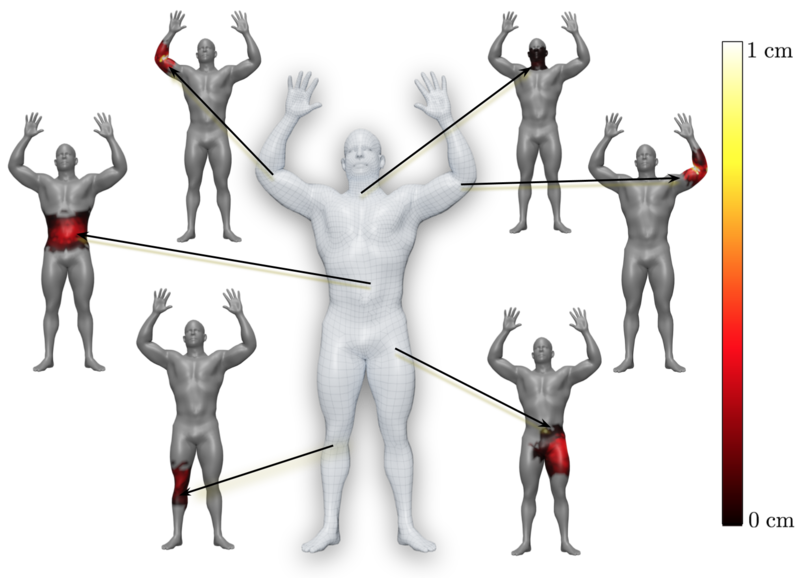 articulated human model 3d